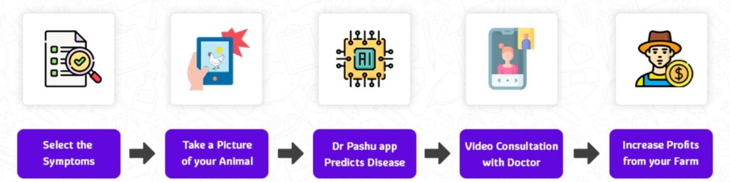 Working Process of DrPashu App