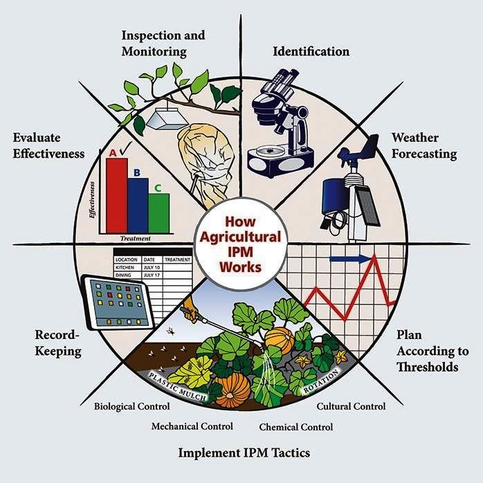 Holistic Approach to Integrated Pest Management