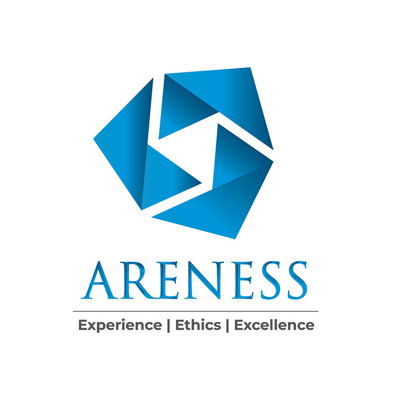 Areness Consulting – Delivering Value-added Services for Startup Success