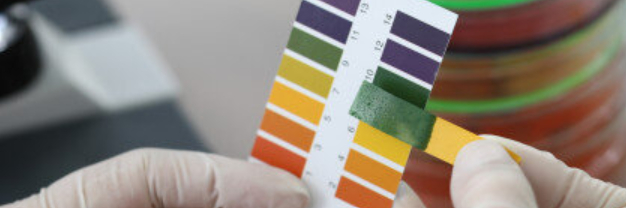 Colorimetric Sensors for Detecting Bacteria in Food