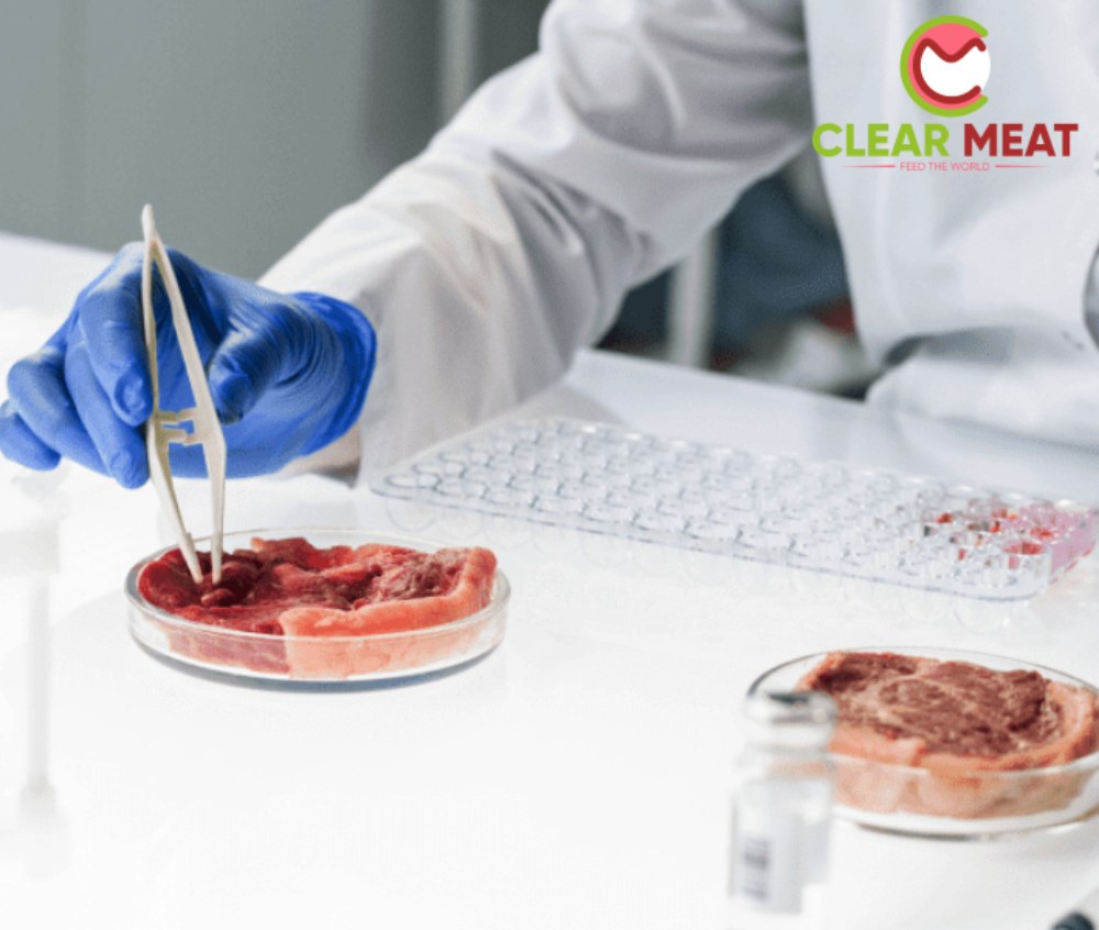 Safe, Sustainable, Environment-friendly Cell-based Cultivated Meat Crafted by Clear Meat