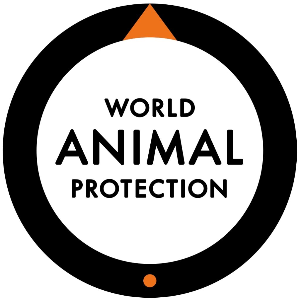 World Animal Protection – A Global Mission to Create a Better World for Animals through Advocacy