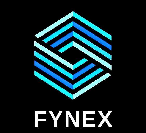 FYNEX - Crafting Customized Financial Strategies for Business Success