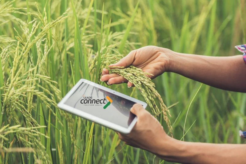 Farmers at the Heart of Innovation – LeadsConnect Envisions a Data-Driven Agricultural Future