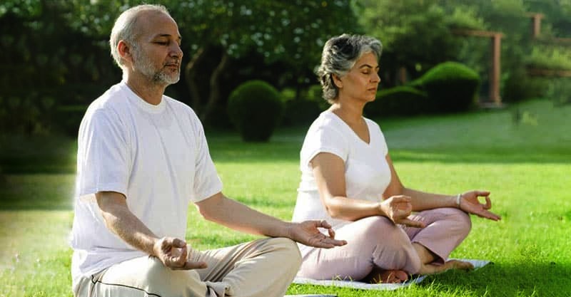 The Transformative Power of Yoga for the Elderly - Beyond Physical Fitness