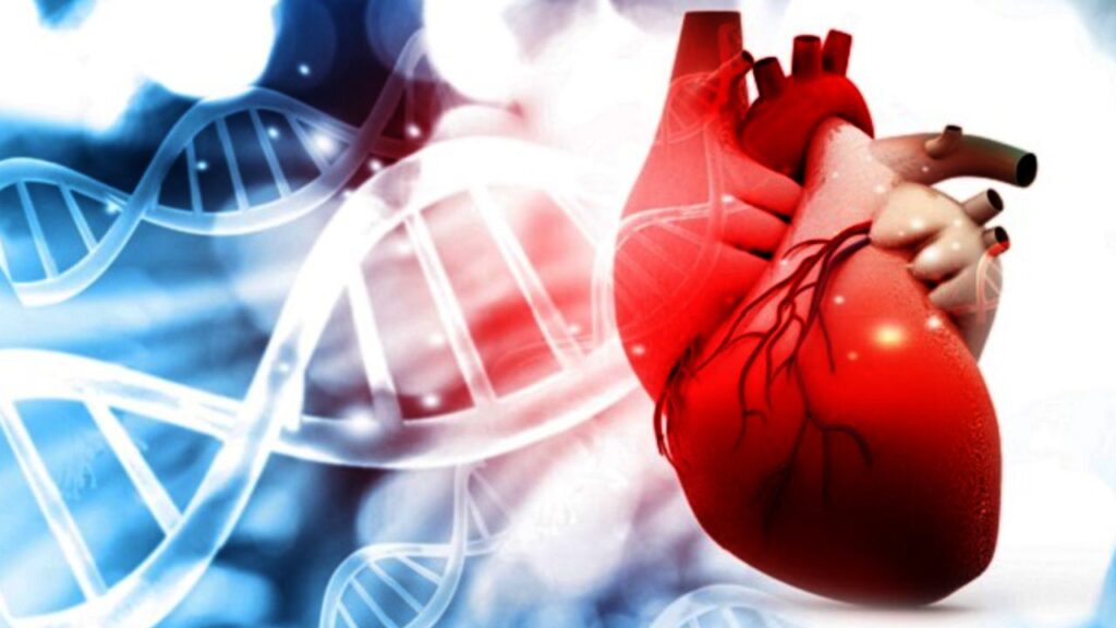 The Next Frontier in Cardiology - The Promise of Gene Therapy for Curing Cardiomyopathies