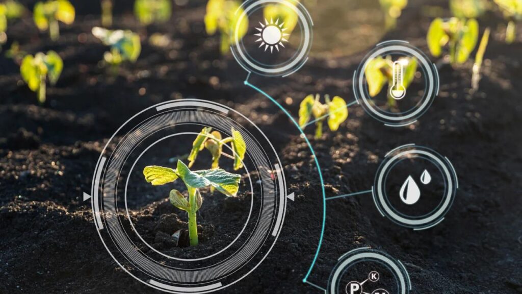 AgroNest and the Future of Indian Agriculture - Smart Solutions for Real Impact