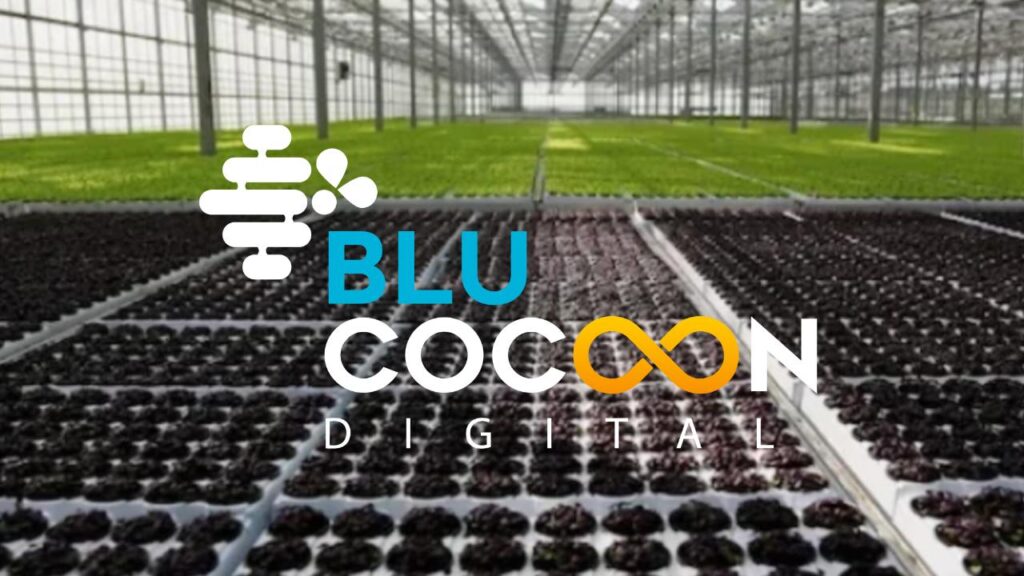 Blu Cocoon Digital Making Smart Farming Accessible and Actionable Through AI