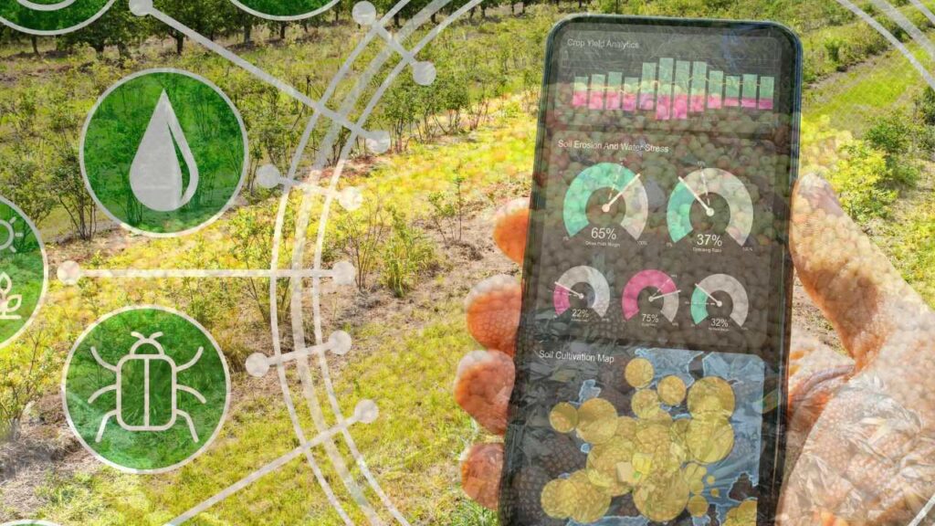 India’s Food Waste Innovations - Bold Disruption, Global Ambitions