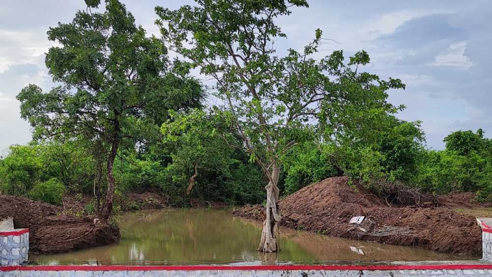 Aligning Incentives and Policies for Water Conservation and Regeneration Can Build Resilient Livelihoods