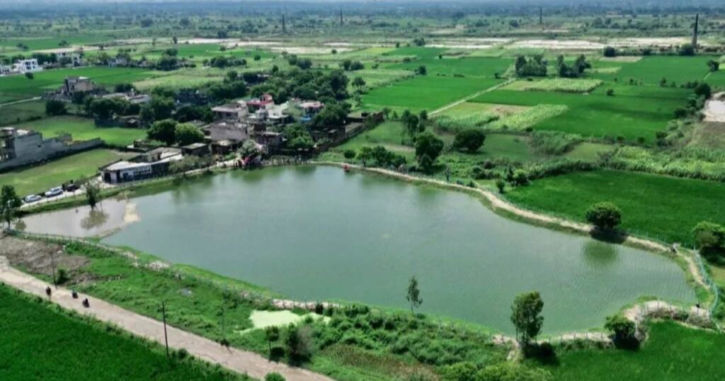 Say Earth Rejuvenating Water Bodies Through Collaborative Efforts