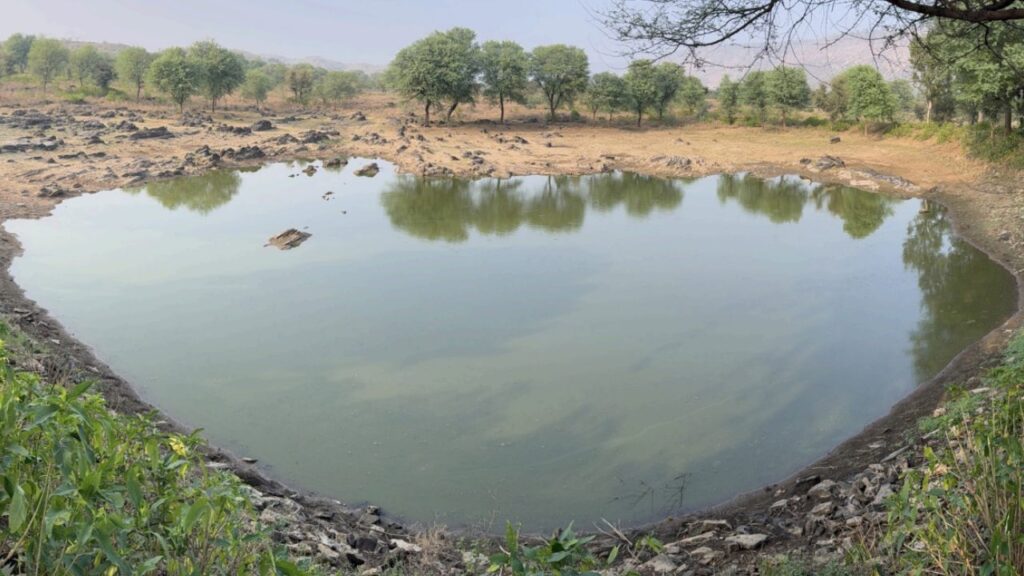 TBS Empowering Rajasthan’s Farmers to Recharge Agriculture Through Water Availability
