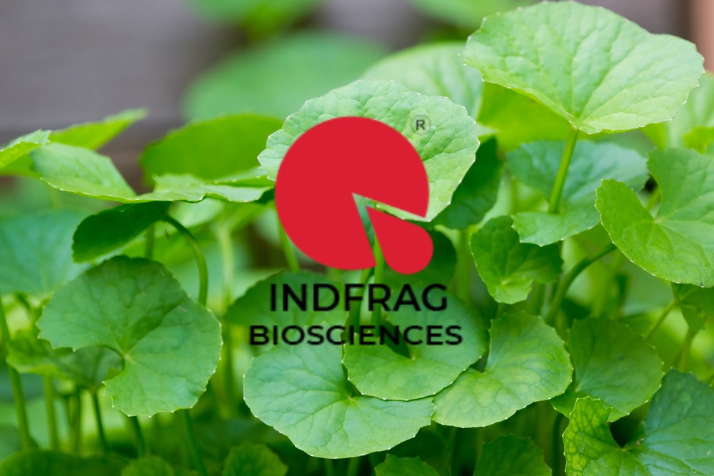 Natural, Proven, Powerful - The Science Behind Indfrag’s Clean-Label Centella Asiatica Ingredients