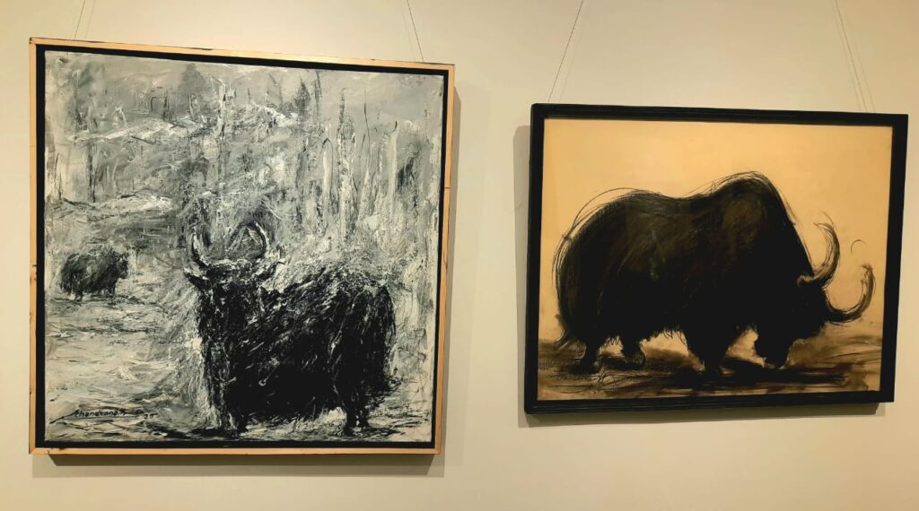 The Yak's Gaze - Stillness and Strength in Himalayan Wildlife