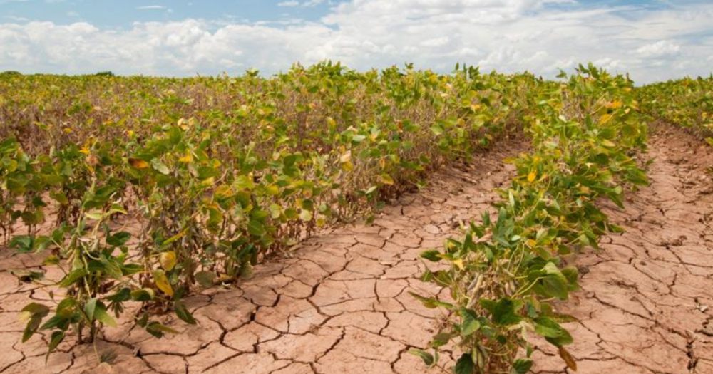 Climate Change Is A Reality – Coordinated Actions Can Save Air, Agriculture, Economy, and Livelihood