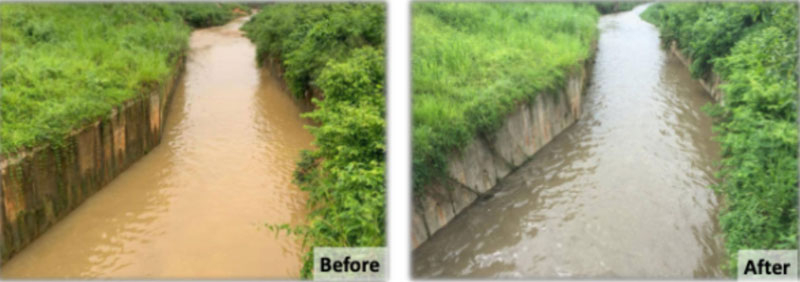 From Polluted Rivers to Pristine Ecosystems - Aquaritin Leveraging Diatoms to Rejuvenate the Water of Malaysia’s Polluted Sungai Gong River