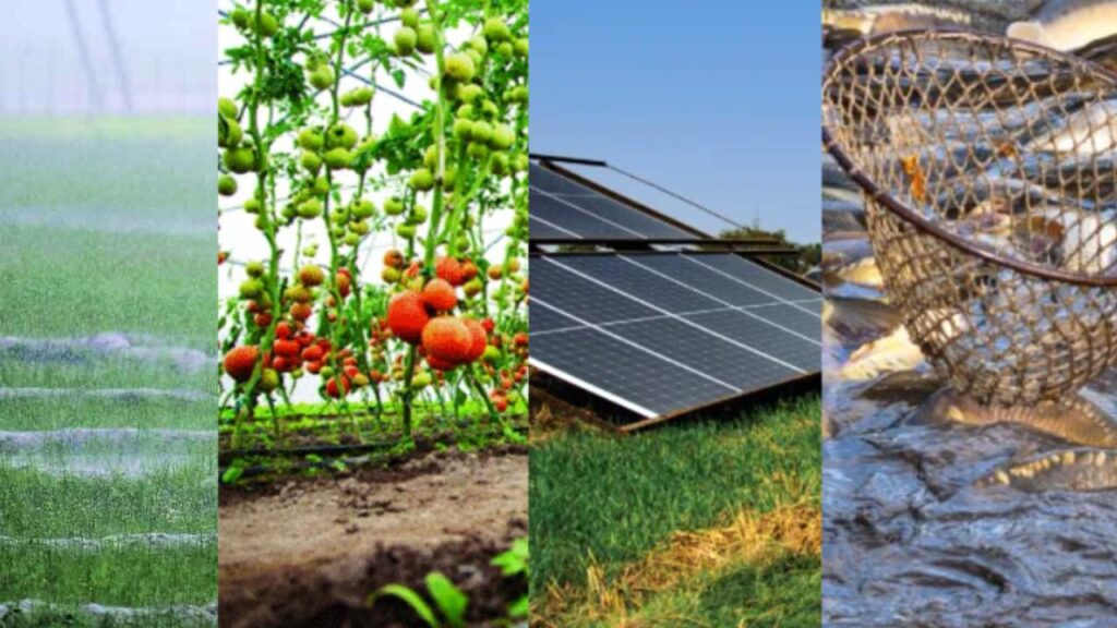 India’s Agricultural Market at a Crossroads of Change