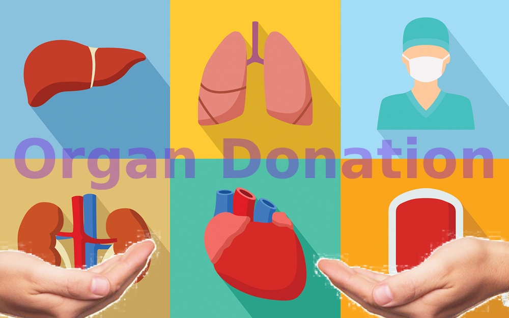 The Power of Giving - Organ Donation Can Save Million Lives in India