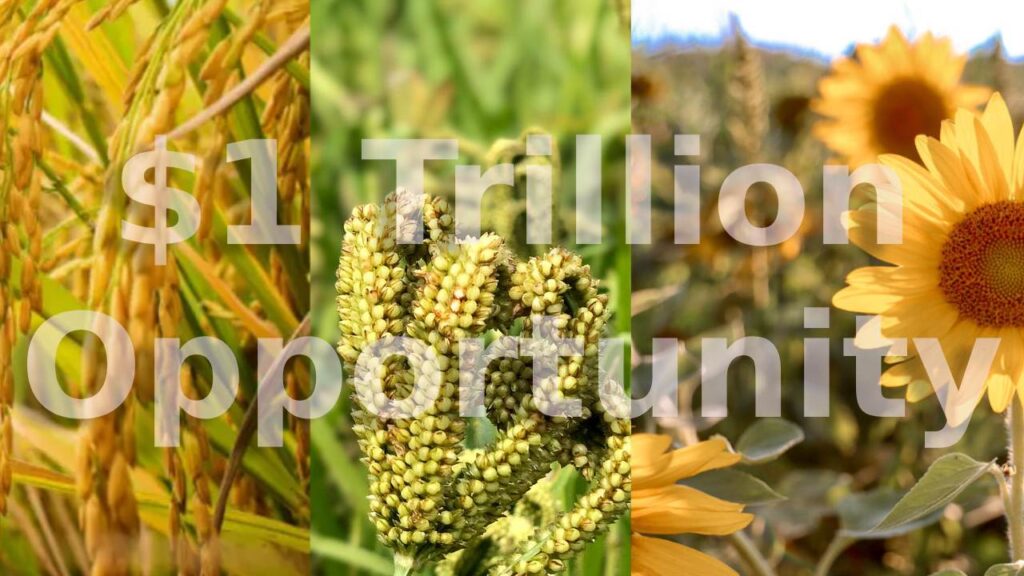 Unlocking a $1 Trillion Agriculture Opportunity – India Needs Bold Reforms