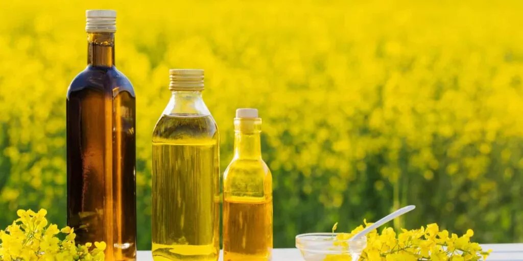 Advancing Healthier Alternatives in India’s Edible Oil Sector