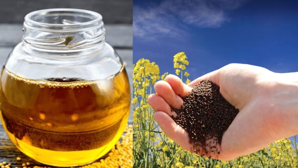 Policy, Innovation, and Investment Can Help Achieve Edible Oil Self-reliance