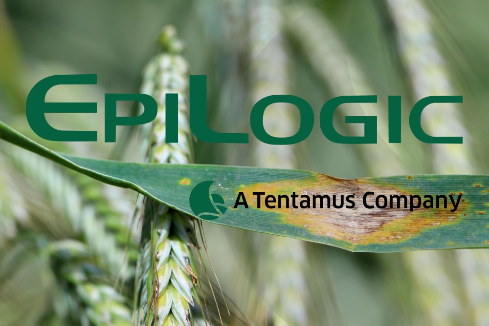 EpiLogic Helps Agriculture Sector Combat Fungicide Resistance by Tracking Pathogen Evolution