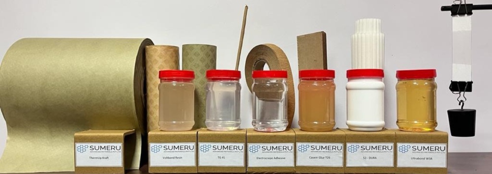 Sumeru Reinventing Cutting-Edge Solutions for Paper and Power Sectors