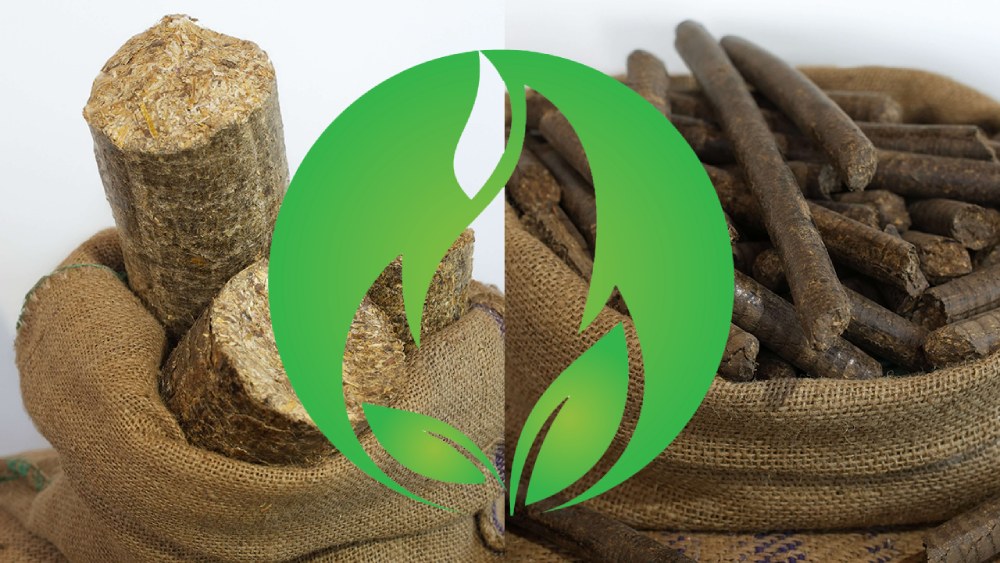 Mamleshwar Agro Fuel Scaling Biomass Energy to Meet India’s Net Zero Goals