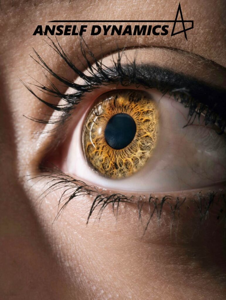 Anself Dynamics Envisages Scalable AI Diagnostics of Diabetic Retinopathy