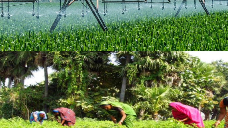 Inclusion, Innovation, and Entrepreneurship Can Reinvent Indian Agriculture