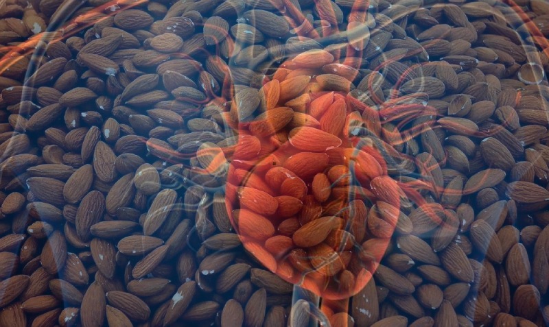 Almonds Support Cardiovascular Health and Satiety Benefits