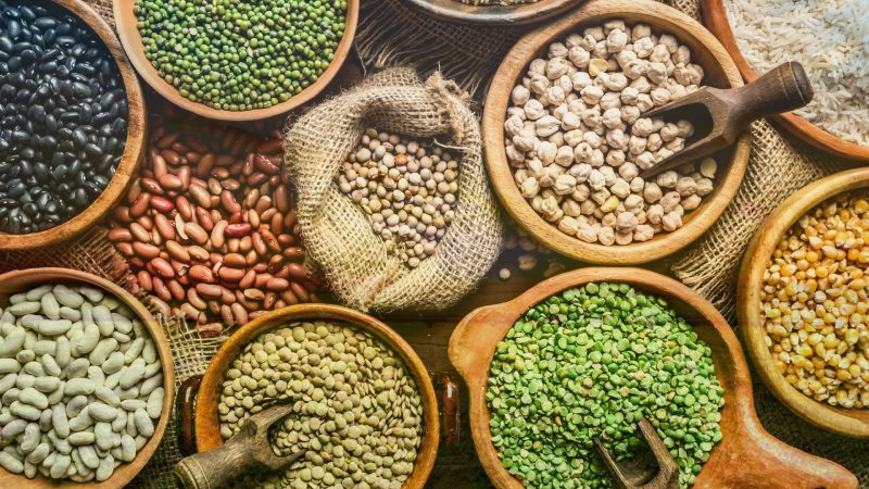 Climate, Water, and Protein - Engineering India’s Resource-Efficient Food Future