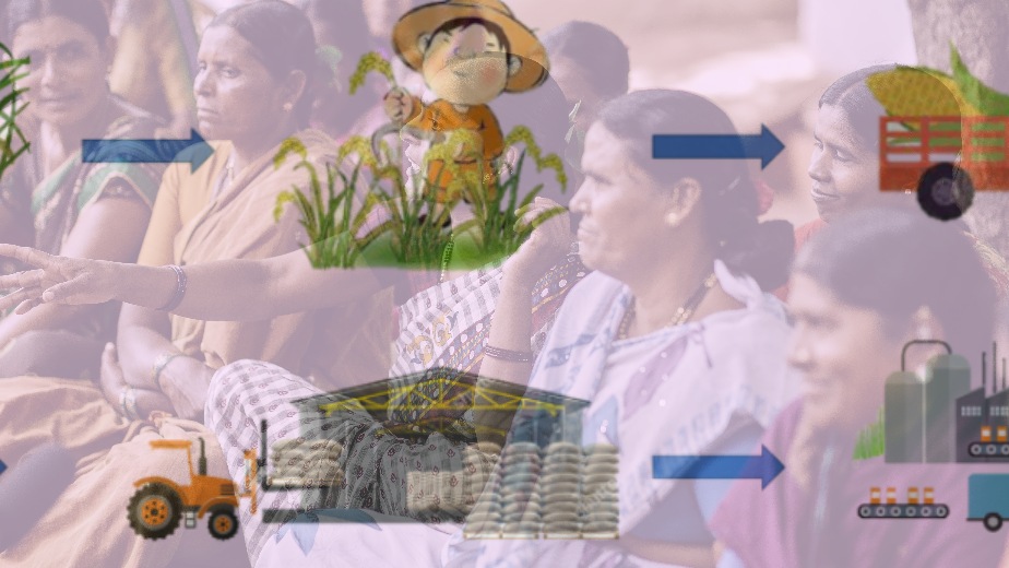 Women at the Centre of Agricultural Value Chain Transformation