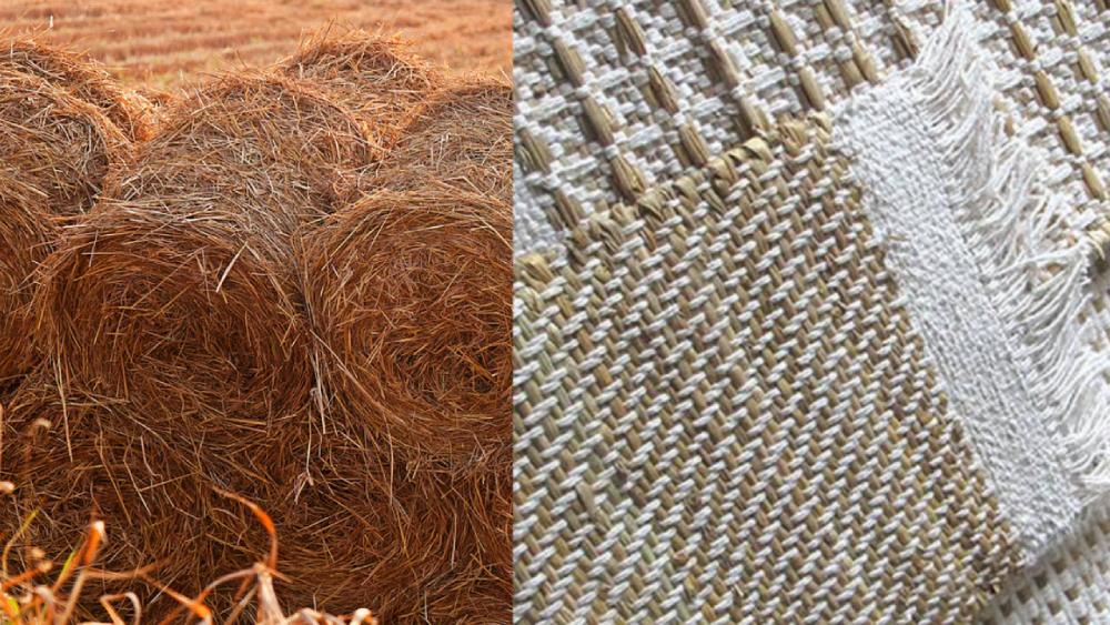 From Farm Waste to Fabrics – Agrofab Rewrites Circular Textile Story